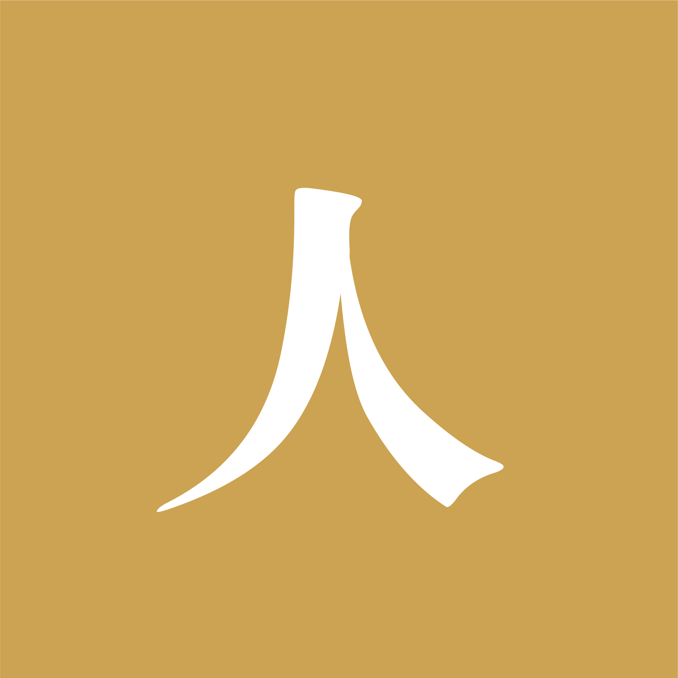 公司愿景